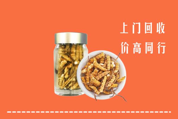 安顺紫云县回收冬虫夏草